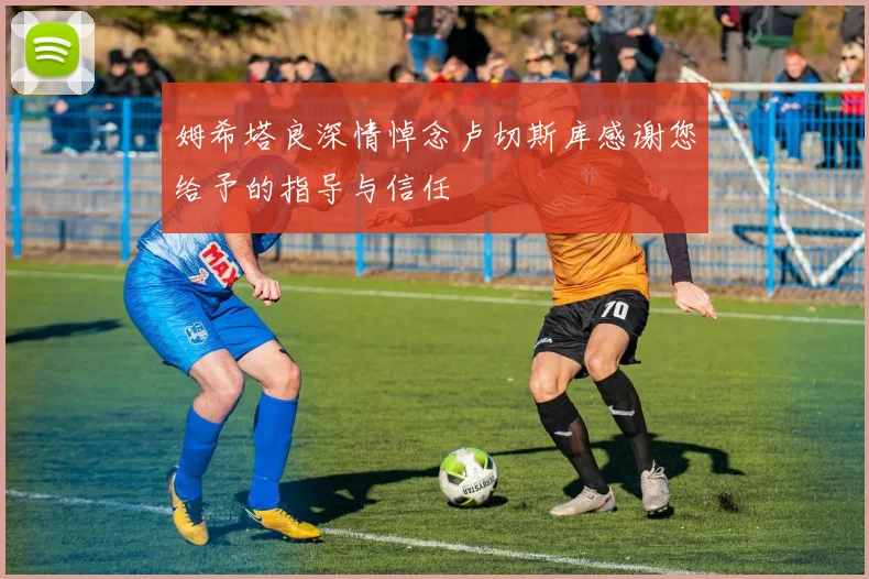 姆希塔良深情悼念卢切斯库感谢您给予的指导与信任